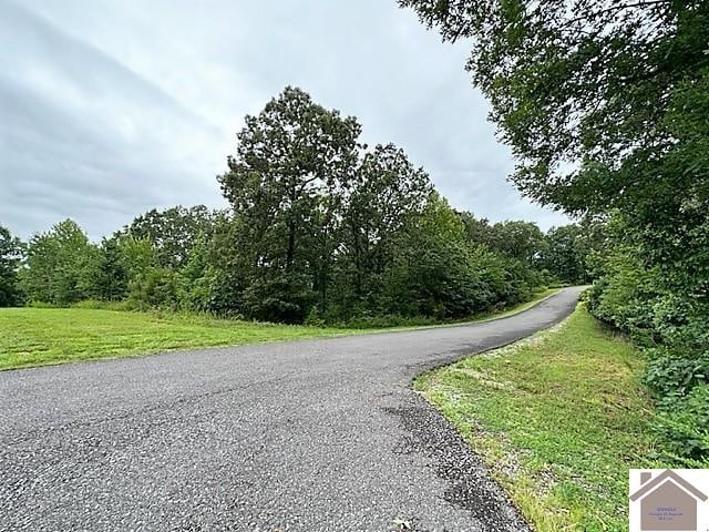 Listing photo 3 for 73 Dock Dr Unit Lots71, 72, Murray KY 42071