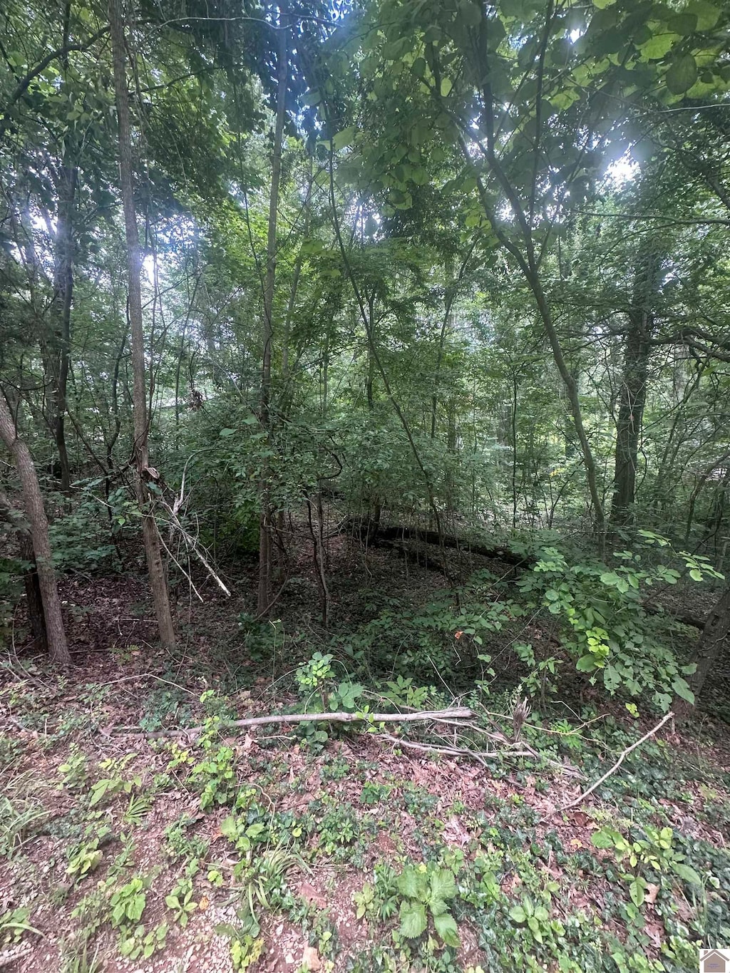 0000 Country Hills Dr, Eddyville, KY 42038