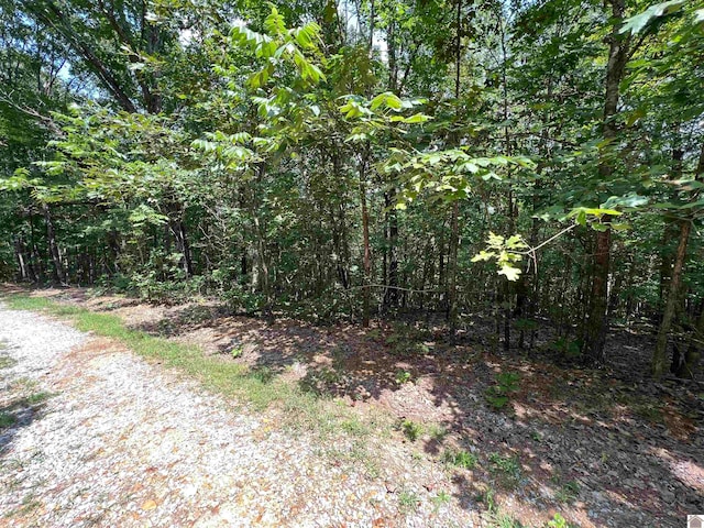 Listing photo 3 for 00 Pintail Ln, Murray KY 42071