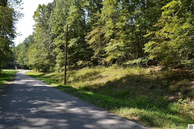 LOT3 Rolling Mills Rd, Eddyville KY, 42038 land for sale