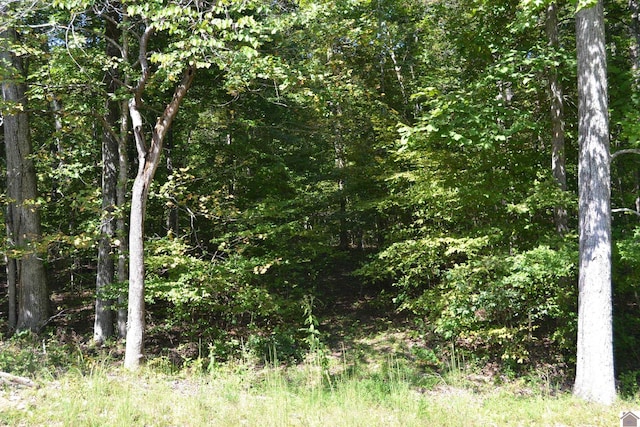 Listing photo 2 for LOT3 Rolling Mills Rd, Eddyville KY 42038