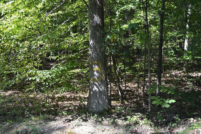 Listing photo 3 for LOT3 Rolling Mills Rd, Eddyville KY 42038