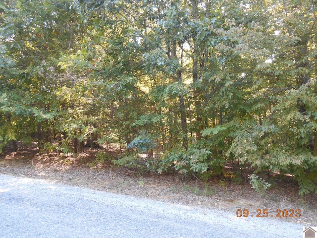 0 Rivers End Ct, Cadiz KY, 42211 land for sale