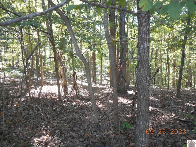 Listing photo 3 for 0 Rivers End Ct, Cadiz KY 42211