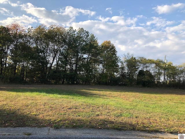 LOT60 Masters Dr, Mayfield KY, 42066 land for sale