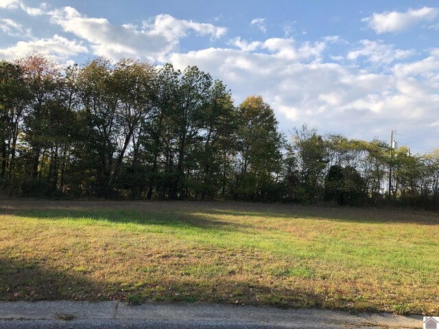 LOT62 Masters Dr, Mayfield KY, 42066 land for sale