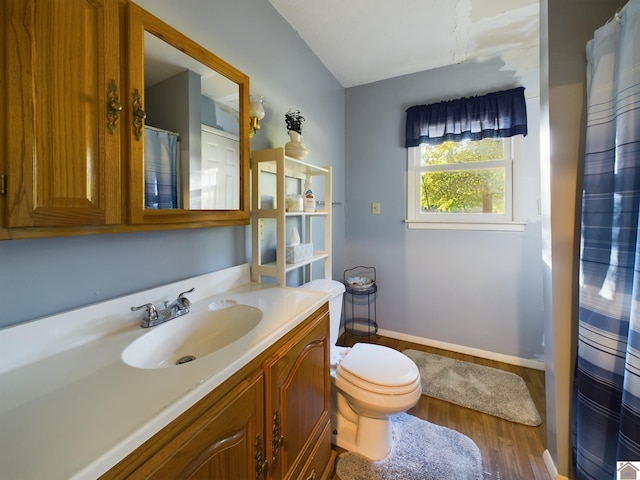 bathroom featuring toilet, hardwood / wood-style flooring, and vanity with extensive cabinet space