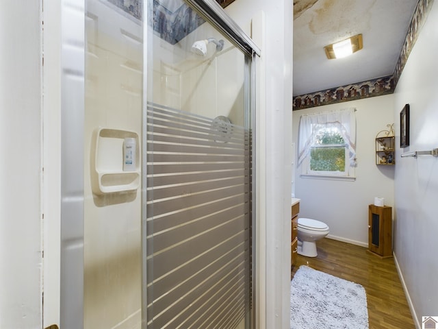 bathroom featuring toilet, vanity, and wood-type flooring