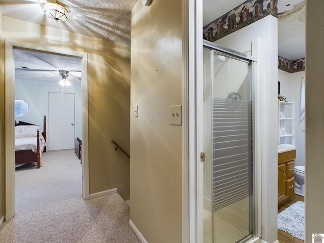 corridor with light colored carpet