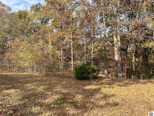 LOT24 Haynes Cemetery Rd, Murray KY, 42071 land for sale