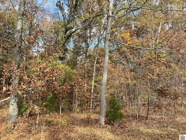 Listing photo 2 for LOT24 Haynes Cemetery Rd, Murray KY 42071