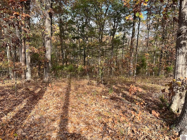 Listing photo 3 for LOT24 Haynes Cemetery Rd, Murray KY 42071