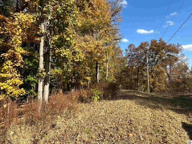 130 Nida, Eddyville, KY 42038