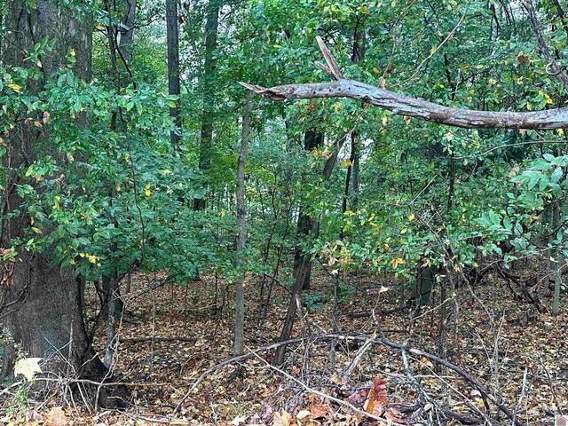 130 Nida, Eddyville, KY 42038