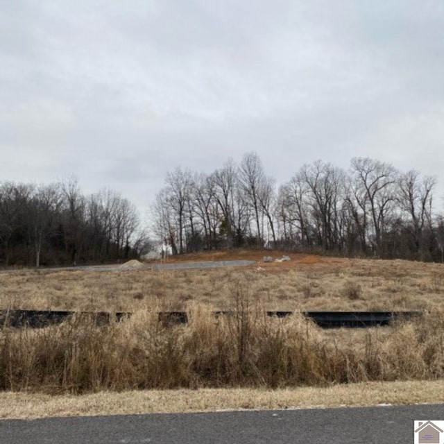 4008 Oak St, Paducah, KY 42003