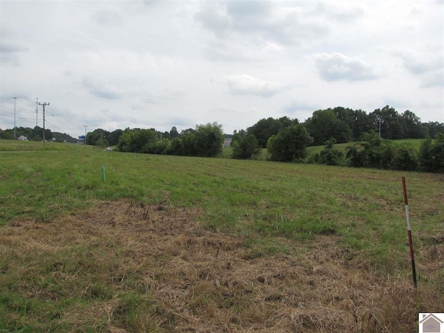 501 Old Symsonia Rd, Benton KY, 42025 land for sale