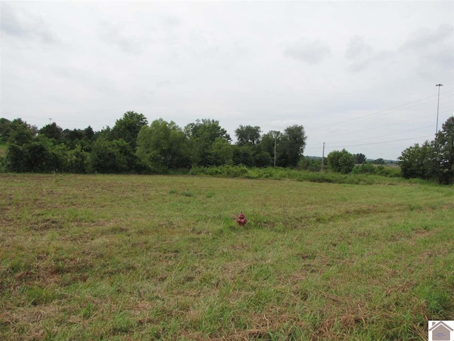 Listing photo 2 for 501 Old Symsonia Rd, Benton KY 42025