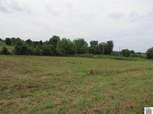 Listing photo 3 for 501 Old Symsonia Rd, Benton KY 42025