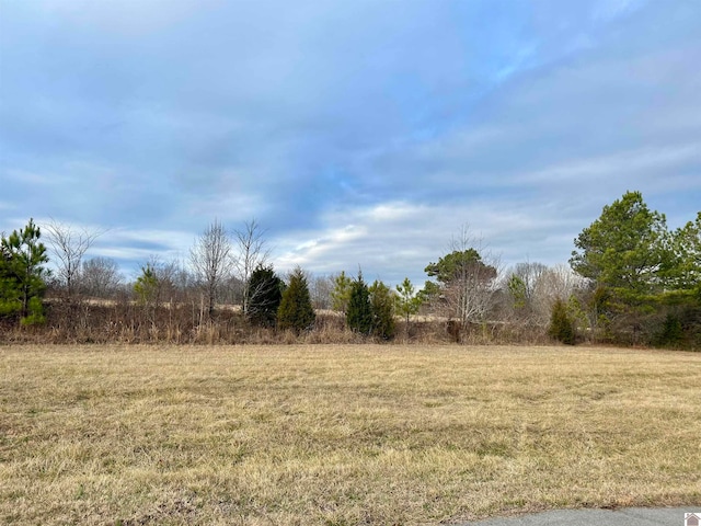 Listing photo 2 for LOT7-8 Hill Creek Ln, Benton KY 42025