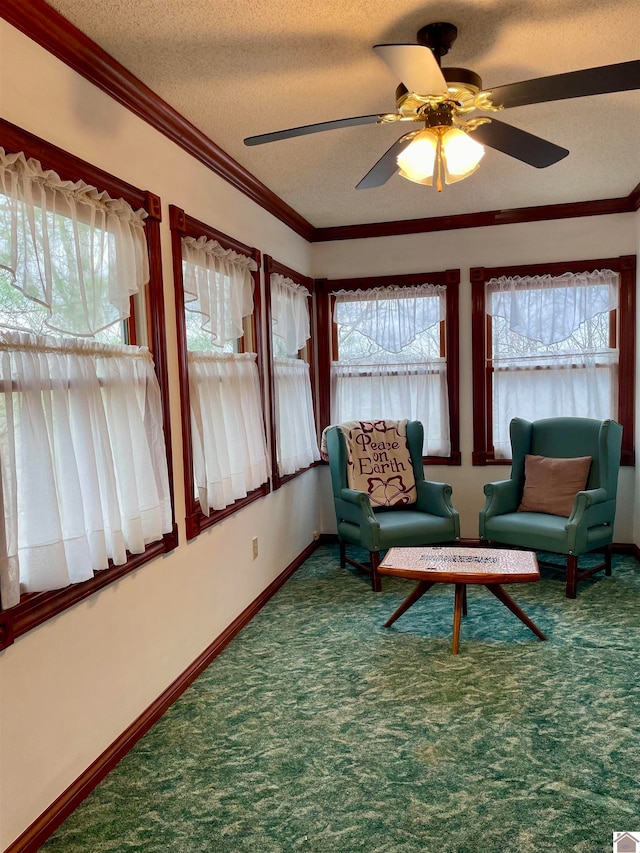 sunroom / solarium featuring plenty of natural light and ceiling fan