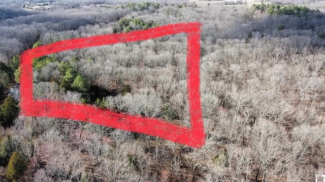 LOT13 Hills Hollow Rd, Murray KY, 42071 land for sale