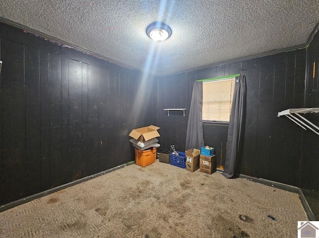 miscellaneous room with a textured ceiling and carpet floors