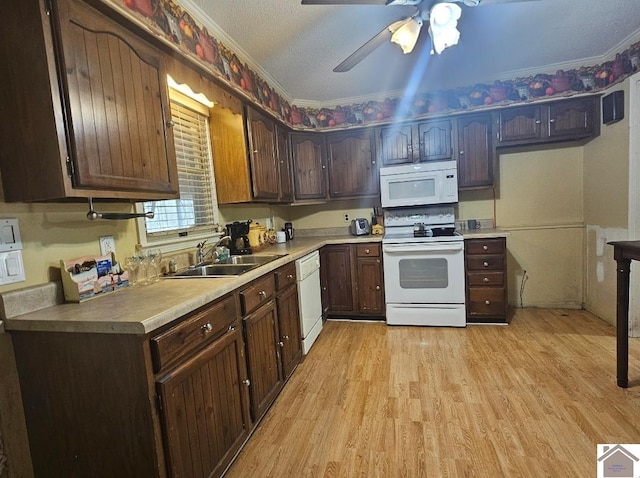 kitchen with ceiling fan, white appliances, sink, light wood-type flooring, and ornamental molding