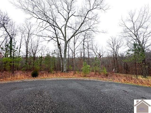 LOT184 Yellowbird Ln, Murray KY, 42071 land for sale