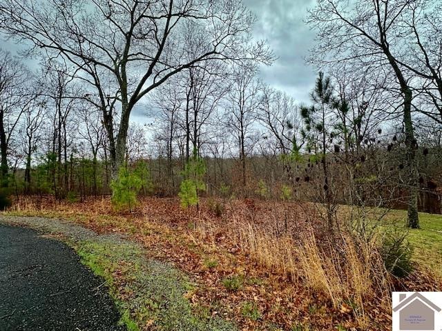 Listing photo 2 for LOT184 Yellowbird Ln, Murray KY 42071