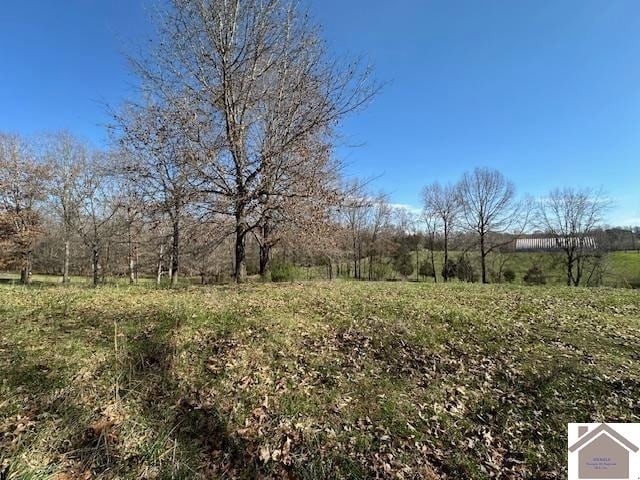 Listing photo 3 for 0 Old Wilson Warehouse Rd, Princeton KY 42445