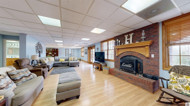 living room with plenty of natural light, a fireplace, a drop ceiling, and light hardwood / wood-style flooring