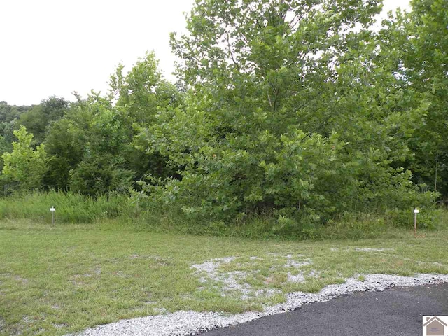 OOO Corinne Rd, Eddyville KY, 42038 land for sale