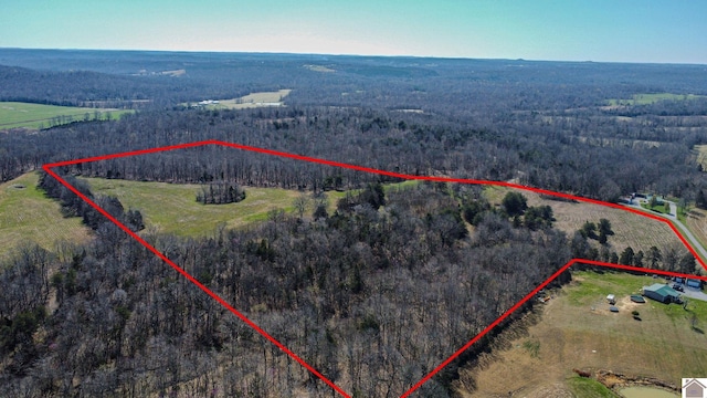 000 Edwards Rd, Princeton KY, 42445 land for sale