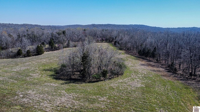 Listing photo 3 for 000 Edwards Rd, Princeton KY 42445