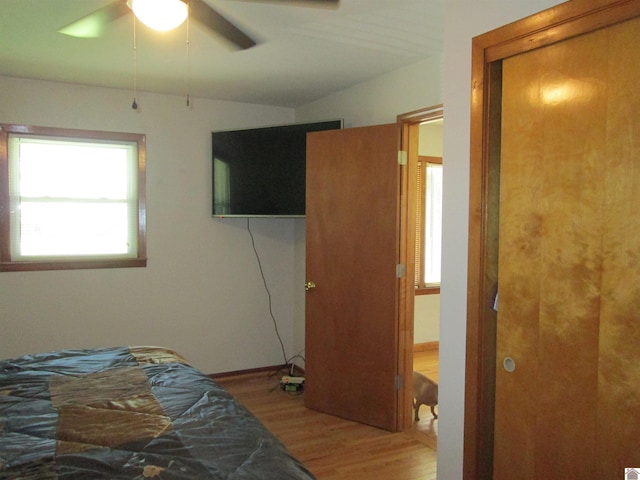 bedroom with ceiling fan, multiple windows, and wood-type flooring