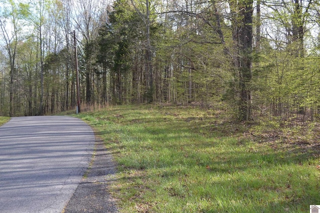 000 S Worthington Way, Eddyville KY, 42038 land for sale