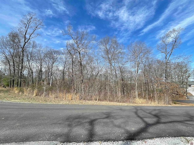 LOT31 Whitecap Ln, Murray KY, 42071 land for sale