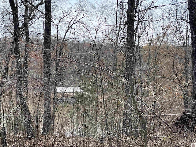 Listing photo 3 for LOT31 Whitecap Ln, Murray KY 42071