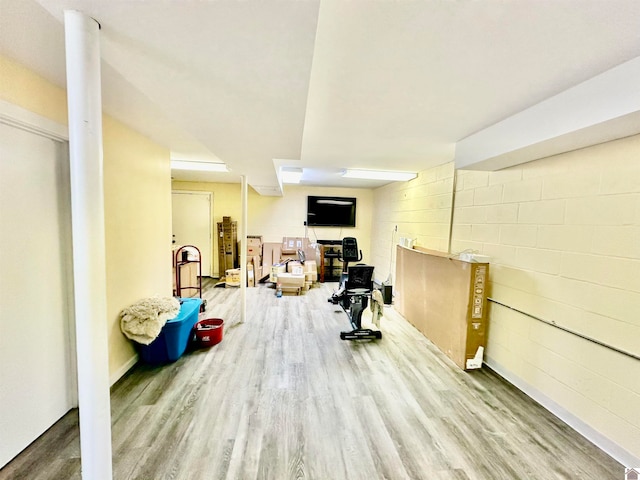 workout room featuring wood-type flooring