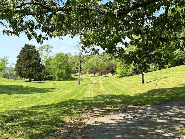 view of property's community featuring a lawn