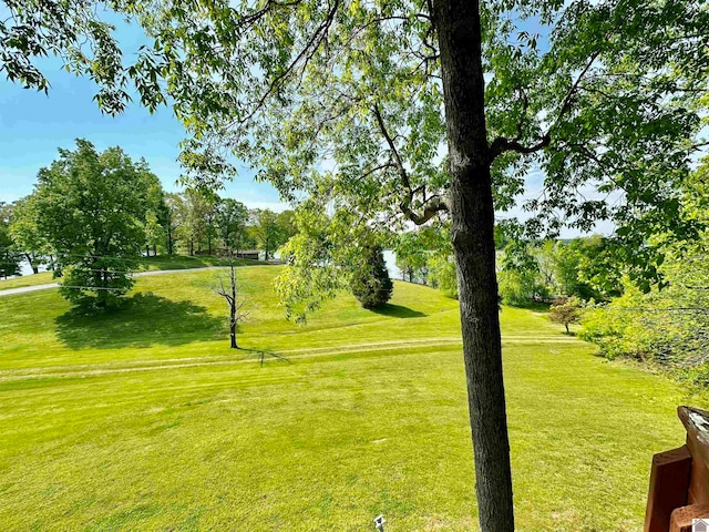 view of community featuring a yard