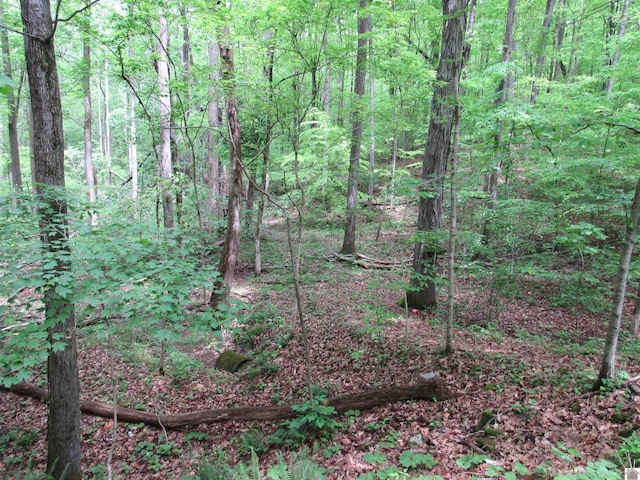 LOT11 Barkley Shrs, Cadiz KY, 42211 land for sale