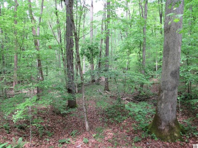 Listing photo 2 for LOT11 Barkley Shrs, Cadiz KY 42211