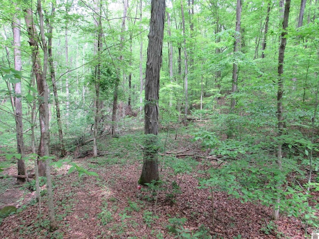 Listing photo 3 for LOT11 Barkley Shrs, Cadiz KY 42211