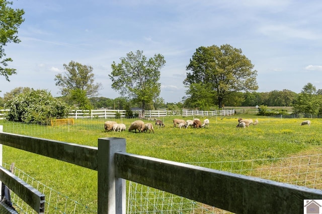 view of yard with a rural view