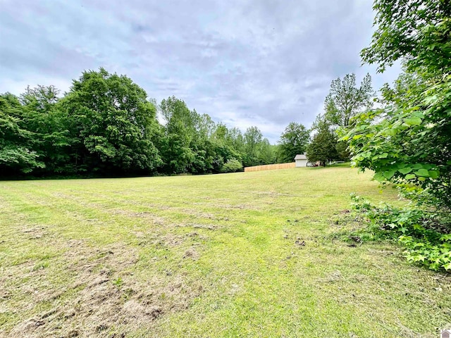 view of yard with a storage shed