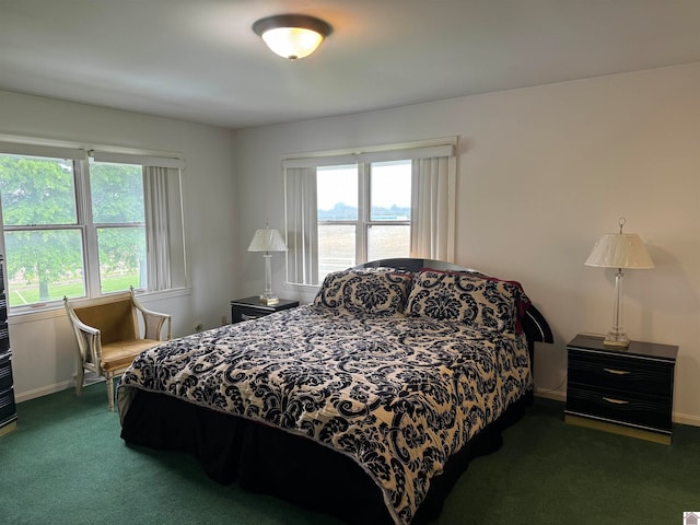 bedroom featuring carpet