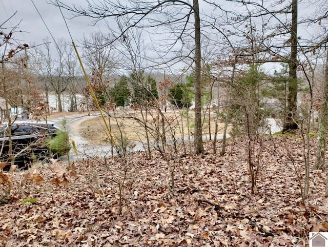 Listing photo 3 for Highview Ln, Murray KY 42071