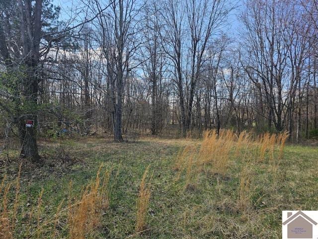 307 Ball Park Loop, Ledbetter KY, 42058 land for sale