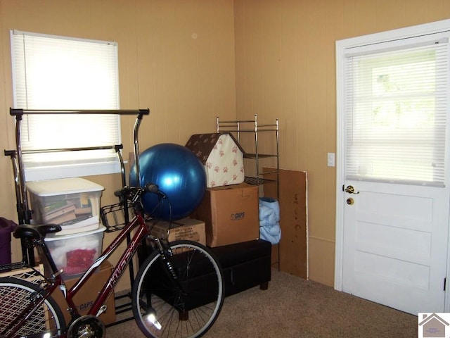 workout area with carpet flooring and wooden walls